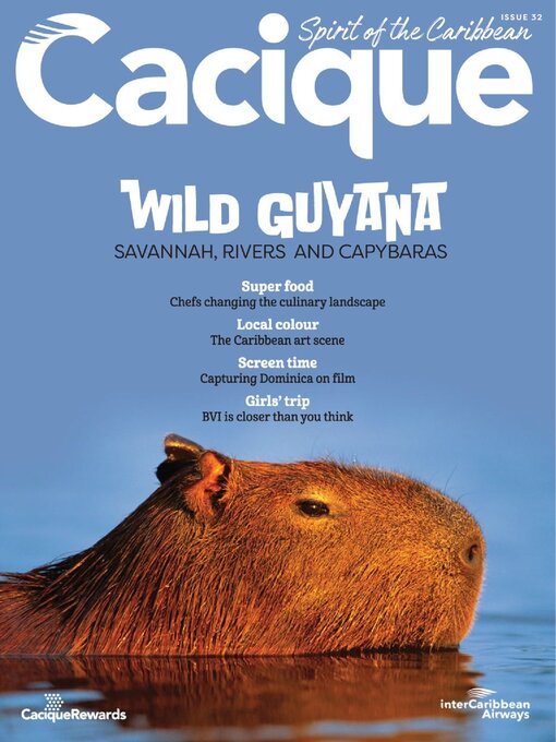 Cover image for Cacique